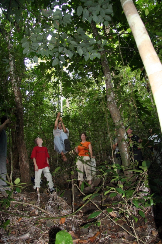 Penanjung nature reserve. Playing Tarzan on the vines, Java Pangandaran Indonesia.jpg - Indonesia Java Pangandaran. Penanjung nature reserve. Playing Tarzan on the vines